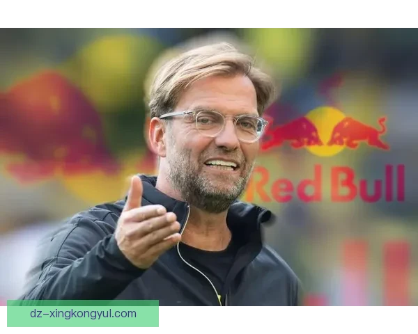 德天空曝莱比锡赔两百万送走维尔纳