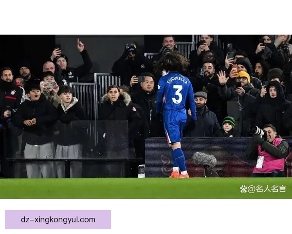 哈格里夫斯切尔西红牌愚蠢非脏 哈格里夫斯切尔西红牌愚蠢非脏